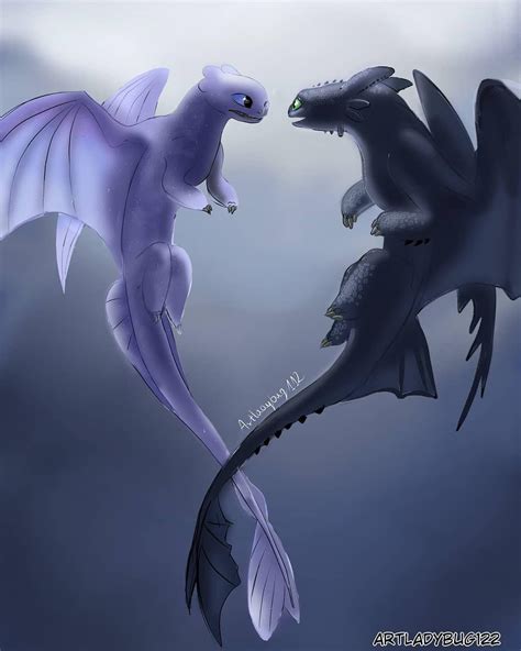 toothless and lightfury|toothless and female night fury.